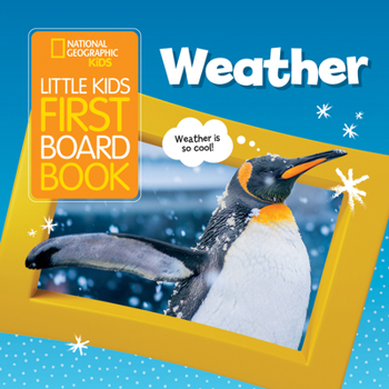 Board book Little Kids First Board Book: Weather Book