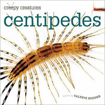 Centipedes - Book  of the Creepy Creatures