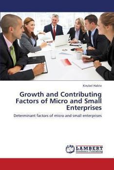 Paperback Growth and Contributing Factors of Micro and Small Enterprises Book