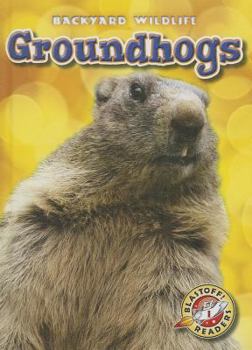 Library Binding Groundhogs Book
