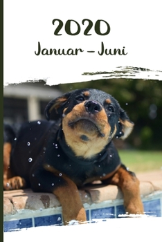 Kalender 2020: Rottweiler Hunde Tageskalender 1. Halbjahr Januar Juni ca DIN A5 weiß über 190 Seiten (German Edition)