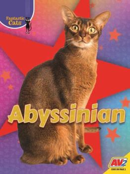 Paperback Abyssinian Book