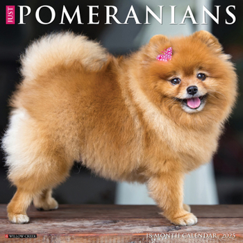 Calendar Just Pomeranians 2025 12 X 12 Wall Calendar Book