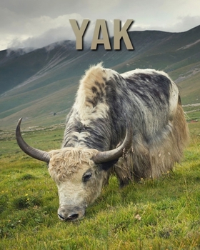 Yak: Learn About Yak and Enjoy Colorful Pictures