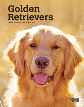 Calendar Golden Retrievers 2021 Engagement Book
