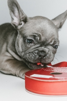 French Bulldogs Dog Pup Puppy Doggie Notebook Bullet Journal Diary Composition Book Notepad - Nibble On Tape: Cute Animal Pet Owner Composition Book ... Quad Ruled Graph Paper Pages in 6” x 9” Inch