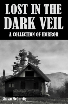 Paperback Lost in the Dark Veil Book