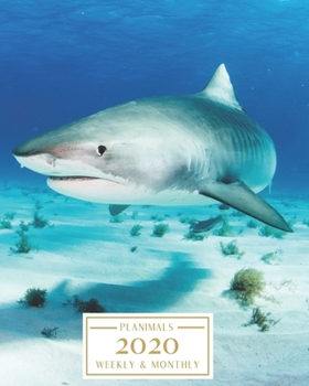 Paperback 2020: Weekly and Monthly Planner/Calendar Jan 2020 - Dec 2020 Great White Shark Book