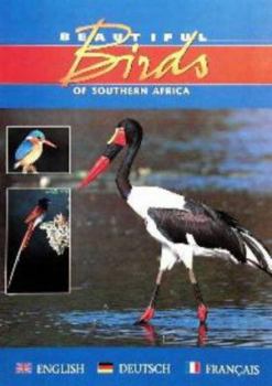 Hardcover Beautiful Birds of Southern Africa Book