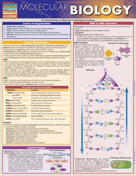 Misc. Molecular Biology: A Quickstudy Laminated Reference Guide Book