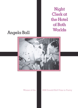Paperback Night Clerk at the Hotel of Both Worlds Book