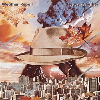 Vinyl Heavy Weather Book