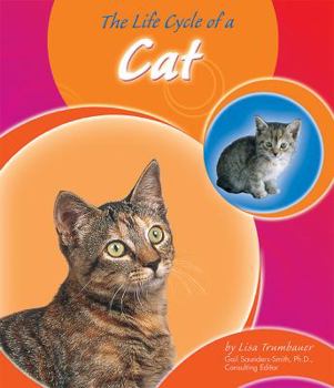 The Life Cycle of a Cat (Life Cycles) - Book  of the Life Cycles