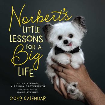 Calendar Norbert's Little Lessons for a Big Life 2019 Wall Calendar Book