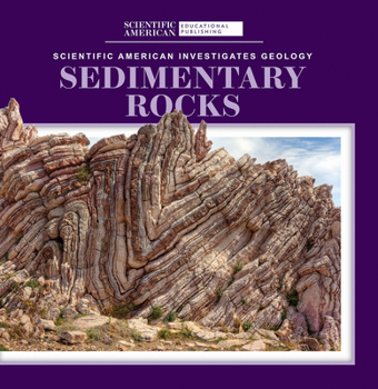 Paperback Sedimentary Rocks Book