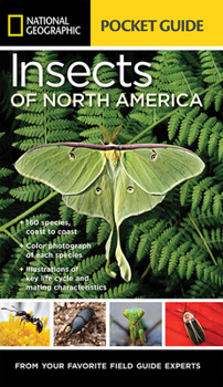 Paperback National Geographic Pocket Guide to Insects of North America Book