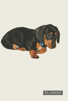 Planner: Dachshund Puppy 1 Year Daily Planner (12 Months) | 2020 - 2021 | 365 Pages for Planning | January 20 - December 20 | Appointment Calendar Schedule | Plan Each Day Set Goals & Get Stuff Done