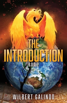 Paperback The Introduction Book