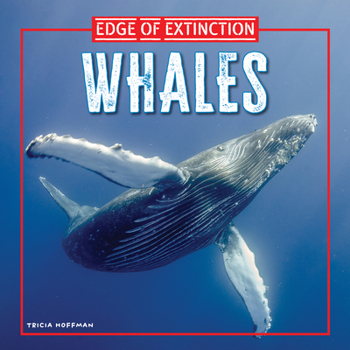 Library Binding Whales Book