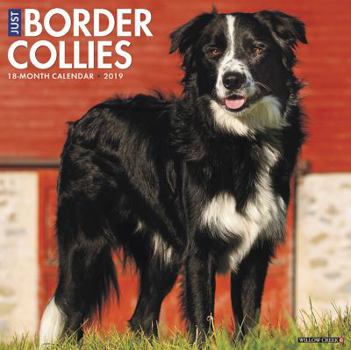 Calendar Just Border Collies 2019 Wall Calendar (Dog Breed Calendar) Book