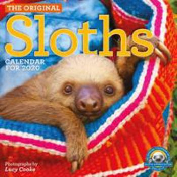 Calendar Original Sloths Wall Calendar 2020 Book