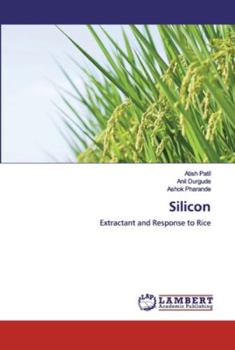 Paperback Silicon Book