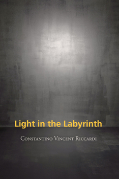 Paperback Light in the Labyrinth Book
