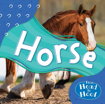 Horse (From Head to Hoof)