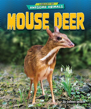 Paperback Mouse Deer Book