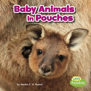 Hardcover Baby Animals in Pouches Book