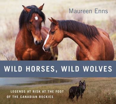 Hardcover Wild Horses, Wild Wolves: Legends at Risk at the Foot of the Canadian Rockies Book