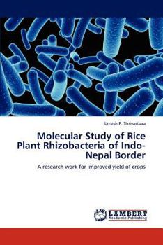 Paperback Molecular Study of Rice Plant Rhizobacteria of Indo-Nepal Border Book