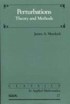 Perturbations: Theory and Methods