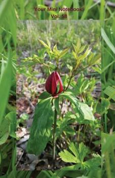 Paperback Your Mini Notebook! Vol. 58: A rosy red trillium says hello Book