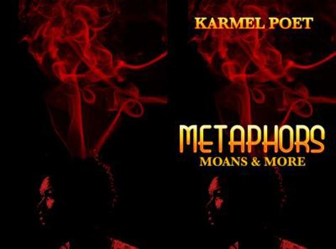 Paperback Metaphors, Moans, and More Book