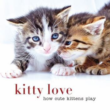 Hardcover Kitty Love: How Cute Kittens Play Book