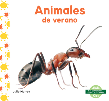 Library Binding Animales de Verano (Summer Animals) [Spanish] Book