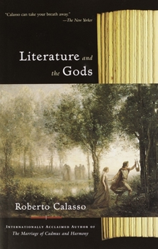 Paperback Literature and the Gods Book