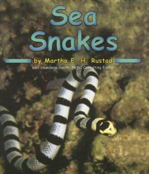 Paperback Sea Snakes (Ocean Life) Book