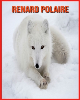 Renard Polaire: Informations Amusantes & Belles Images