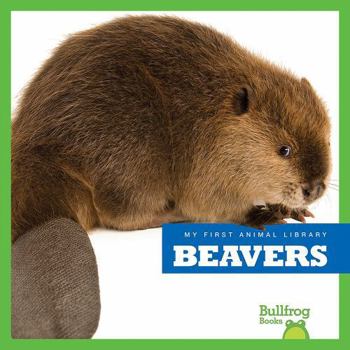 Beavers - Book  of the My First Animal Library
