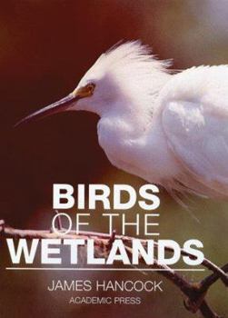 Hardcover Birds of the Wetlands Book