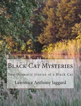 Black Cat Mysteries: Two Dramatic Stories of one Black Cat