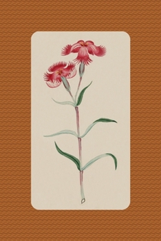 Botanic herbal: Empty Sketch Pages Journal / Notebook - 6x9 inches (DIN 5), 100 Pages