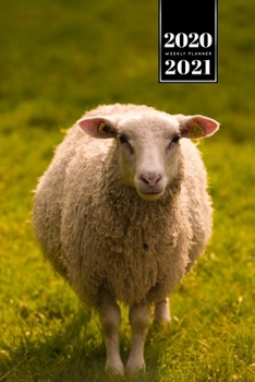 Sheep Lamm Shepherd Herder Farmer Week Planner Weekly Organizer Calendar 2020 / 2021 - Sunrays: Cute Wildlife Animal Pet Bullet Journal Notebook Diary in 6" x 9" Inch Pocket Size