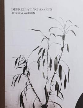 Paperback Depreciating Assets Book