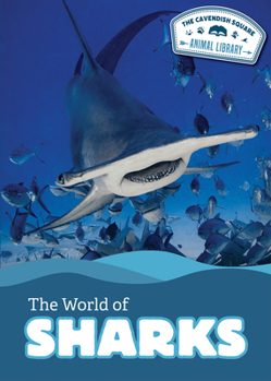 World of Sharks
