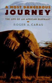 Hardcover A Most Dangerous Journey: The Life of an African Elephant Book