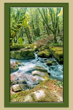 Golitha Falls, Cornwall Notebook: Cornwall Views Notebook, Journal, Gift Book (Places and Landscapes Notebooks)
