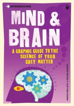 Mind & Brain for Beginners - Book  of the Graphic Guides